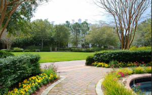 garden yard