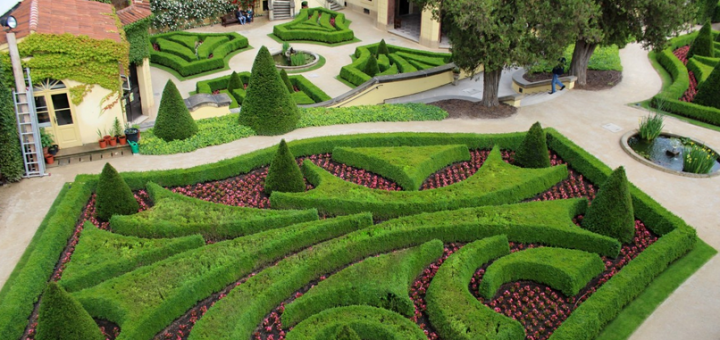 garden yard