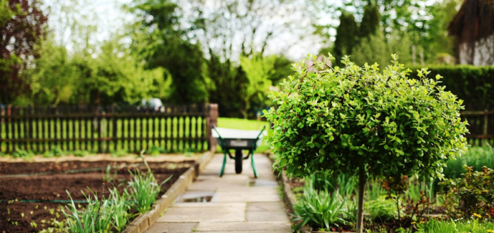 Home garden