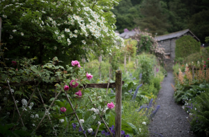 home garden walk path