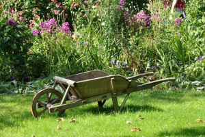 home garden