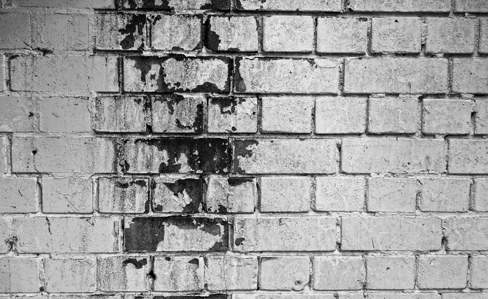 mold